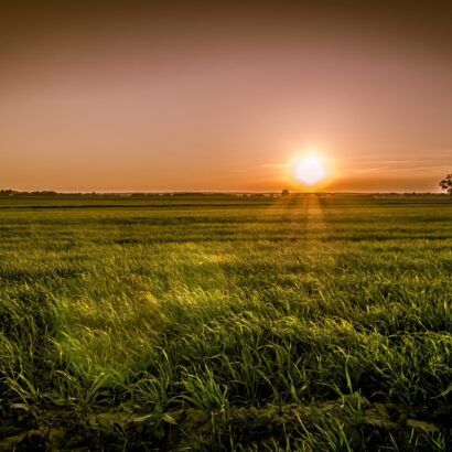 sunset-over-the-fields-3815752_1280